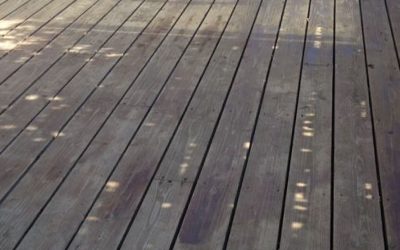 カビ・コケ・自然汚染：3年〜5年