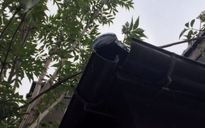 雨樋の継手の破損
